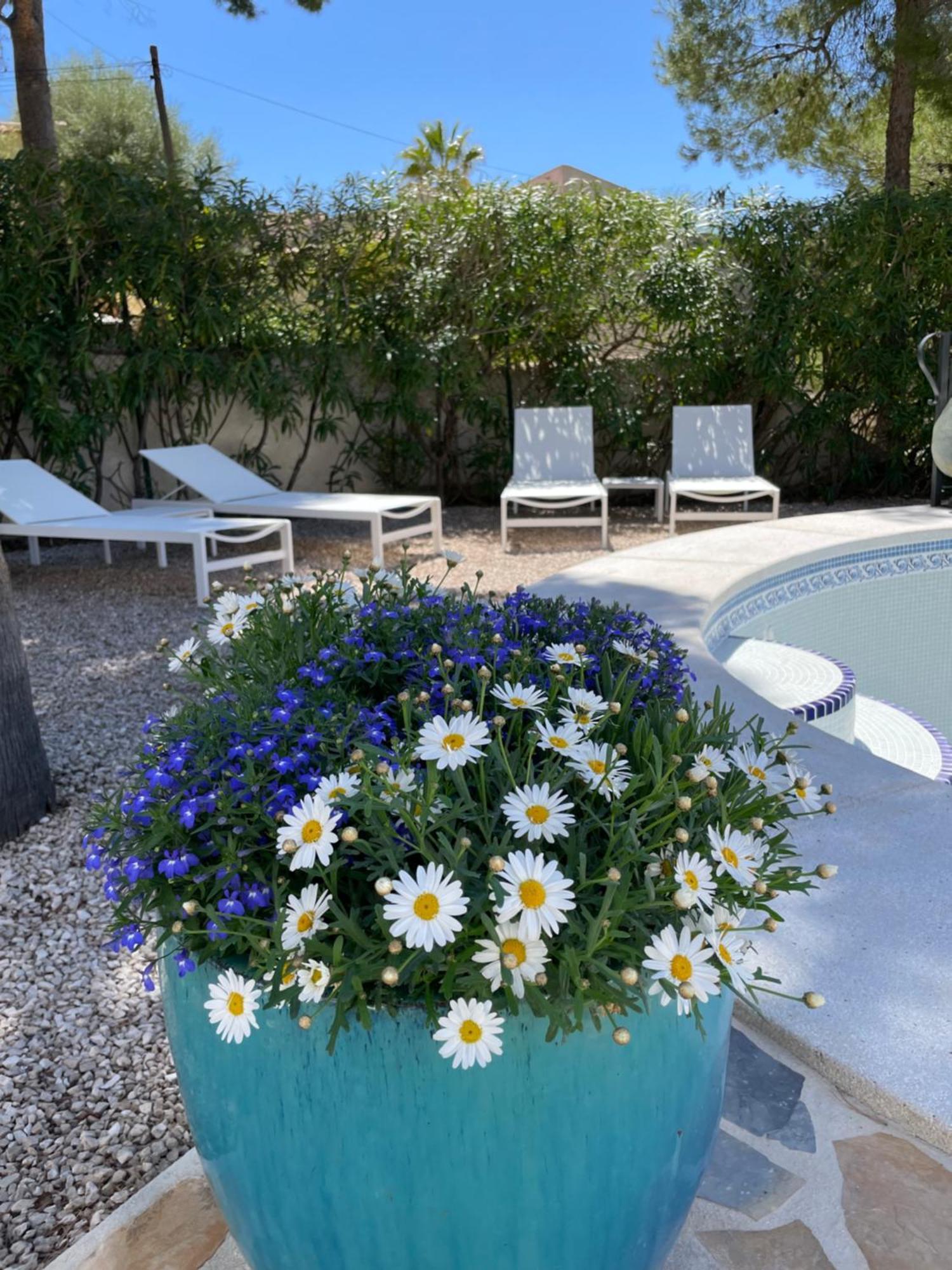 Apartment Casa Les Fremeaux Altea